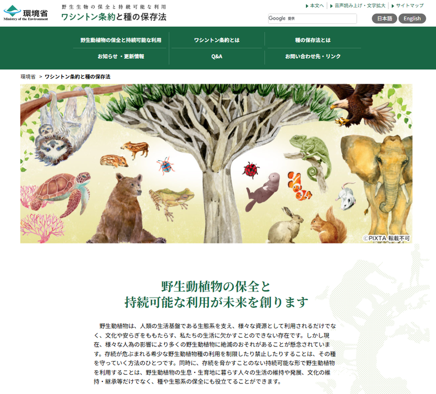 syunohozon 2026 02 26 093745