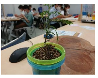 mokuiku3 2025 09 24 102451