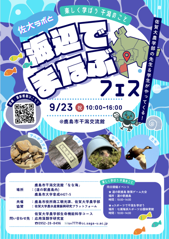 seasidelesson 2025 09 17 175017