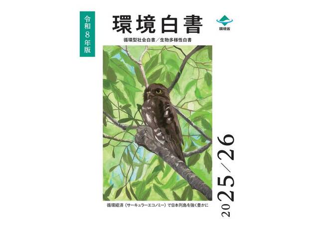 kankyouhakusyo maetsuki contents b727f