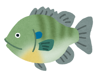fish bluegill2