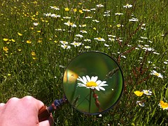 magnifying glass 479742 180