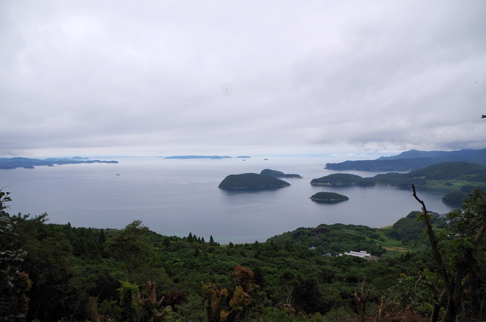 9月京崎宝亀観察会 HP用