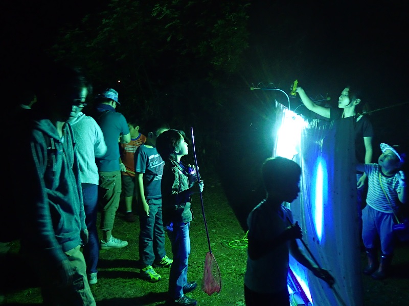  081320夜行性昆虫を観察しよう