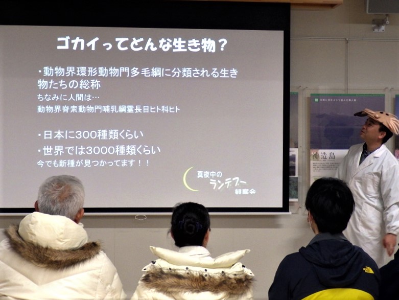 なぎさ 真夜中のランデブー