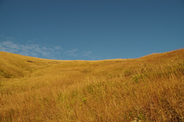 九十九島VC 上段の野
