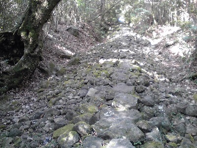 九十九島VC 安満岳②