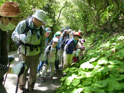 九十九島 3月弓張岳将冠岳 春のトレッキング