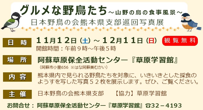 草原学習館 阿蘇市お知らせ端末原稿野鳥の会写真展2016