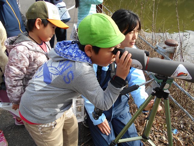 諏訪の池 観察①