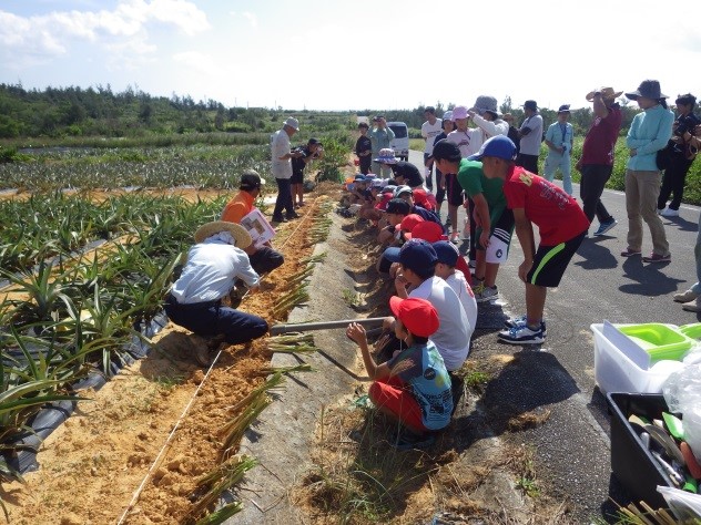 写真おきなわGN