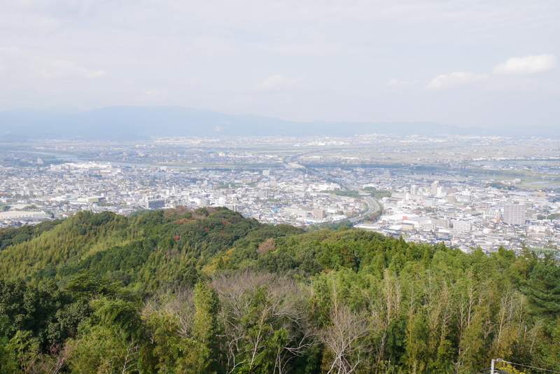 協働取組 連絡会② 竹林