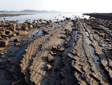 kujukusimavc10 saiseitankasekiwalk