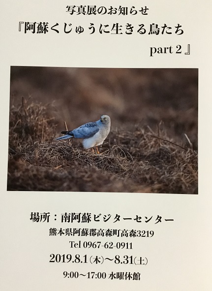 asokuju bird minamiaso