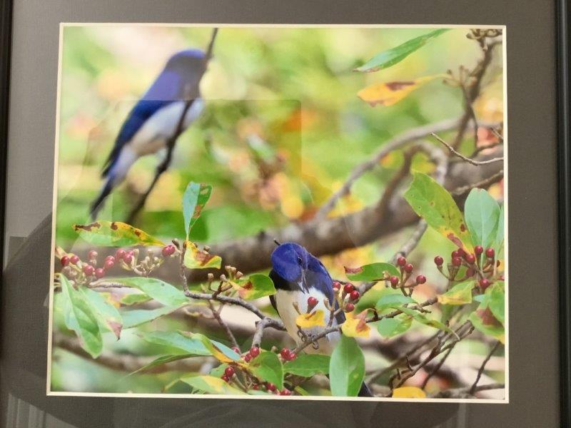 ooruri hasebe minamiaso