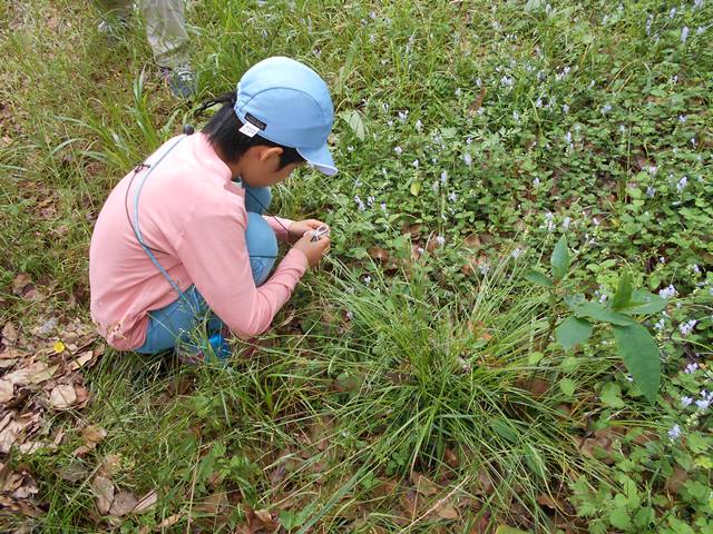 tatsunamisou suwanoike