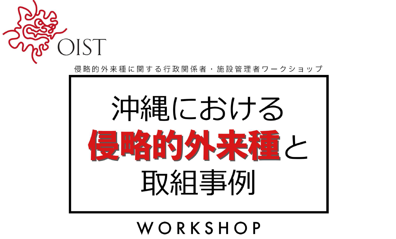 okinawa gairai workshop