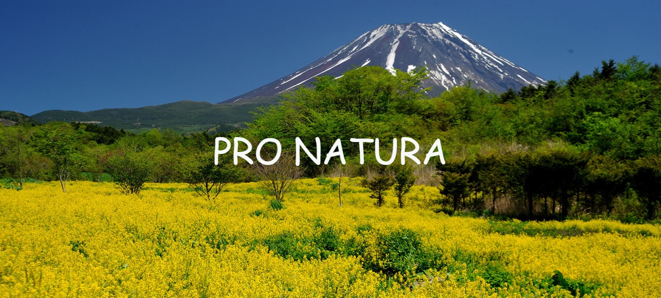 pro natura r04