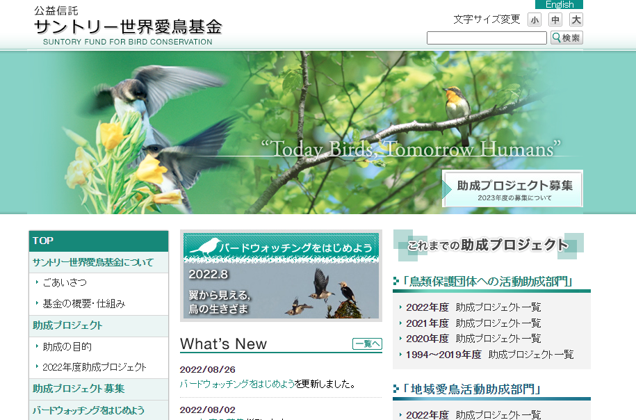 suntory lovebird