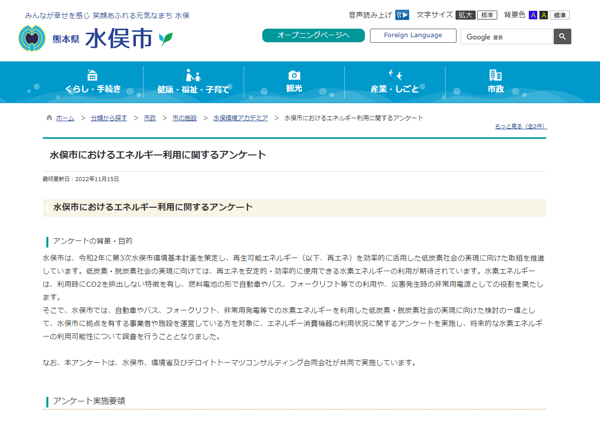 minamata energy survey