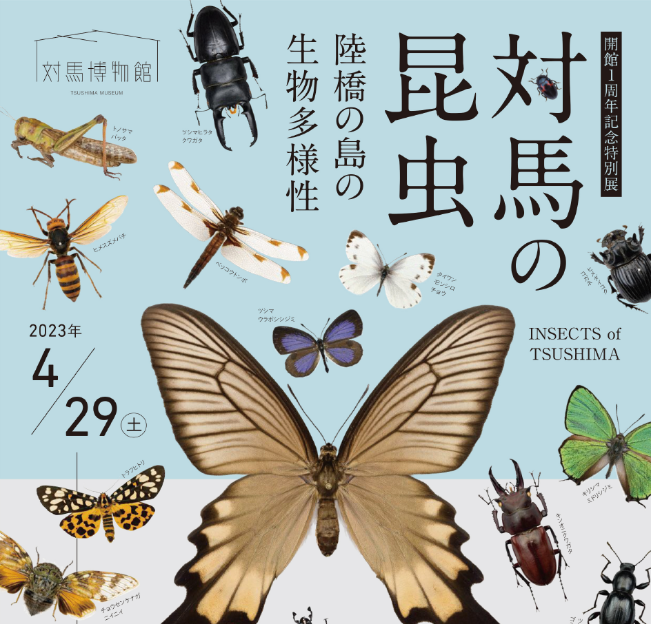 tsushimamuseum insects