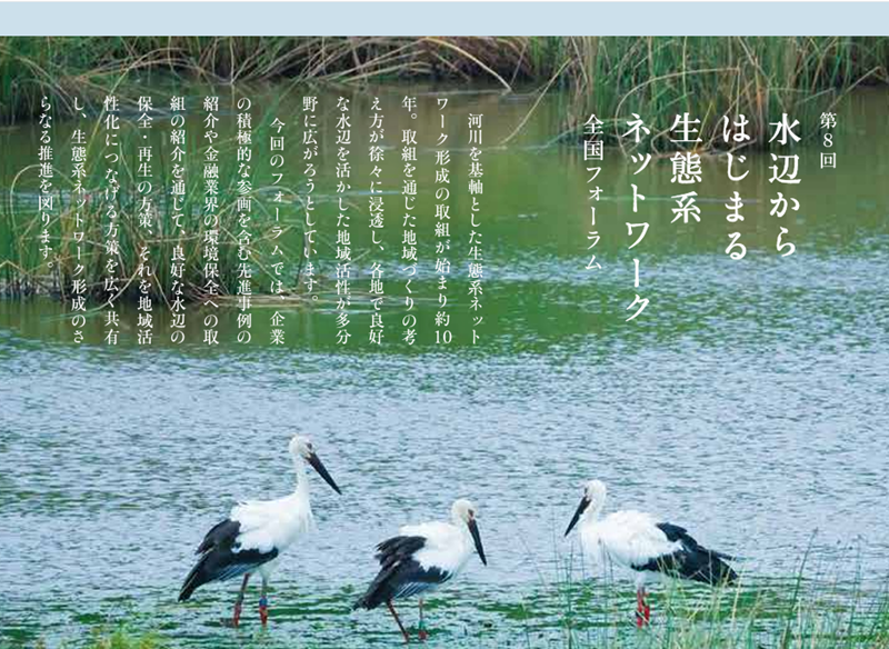 biodiversity waterside08