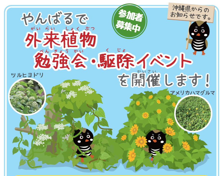 yanbaru alienspecies