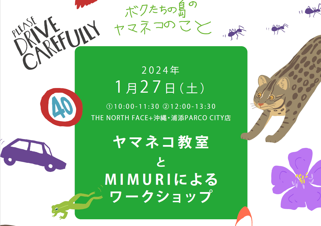 iriomoteyamaneko workshop