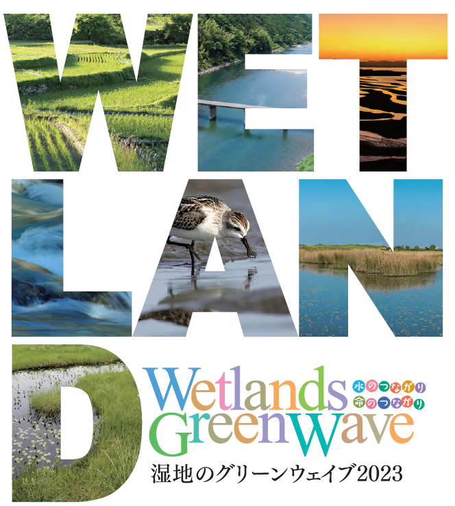 wetland greenwave 2024