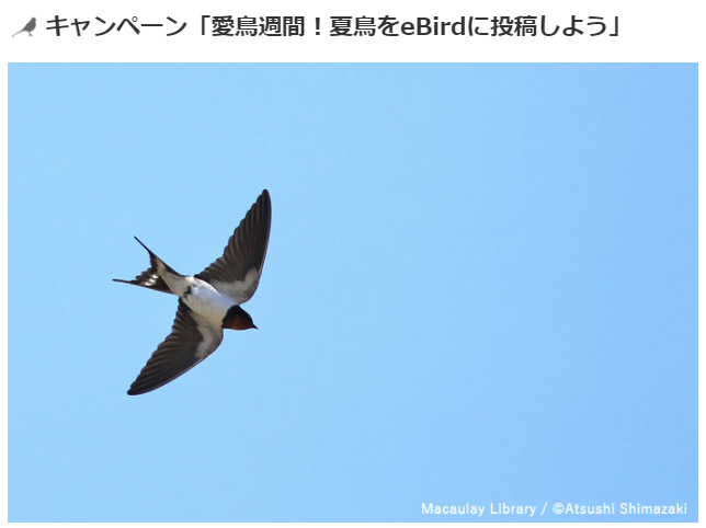 スクリーンショット 2024 05 02 153821