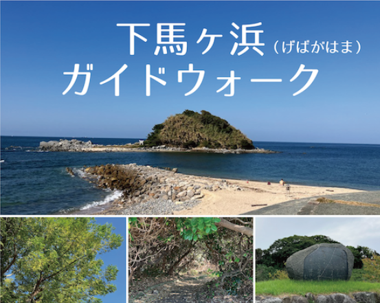 スクリーンショット 2024 05 11 102331