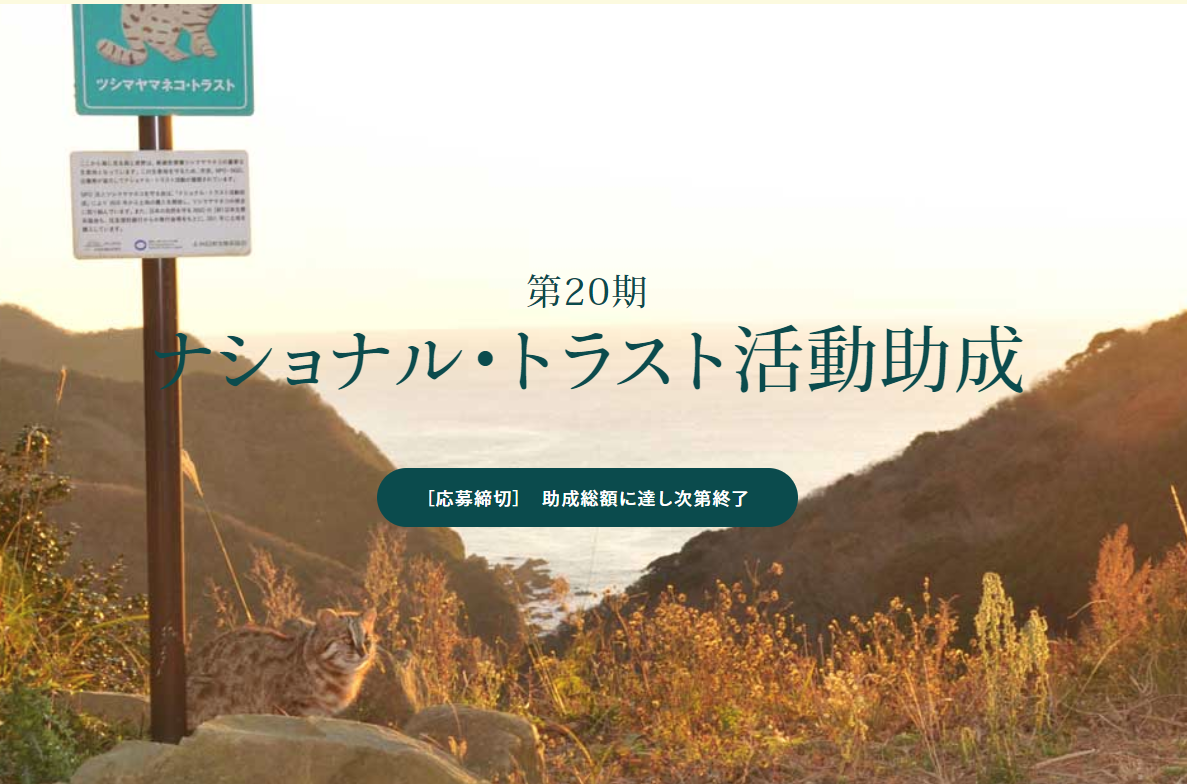 スクリーンショット 2024 04 09 140733