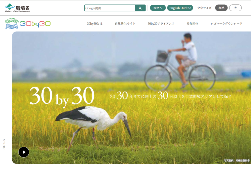 スクリーンショット 2024 04 23 115455