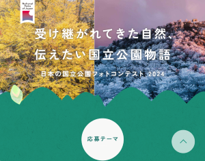 スクリーンショット 2024 06 28 134236 w