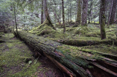 スクリーンショット 2024 05 10 140838