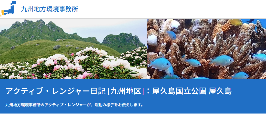 スクリーンショット 2025 08 14 150034