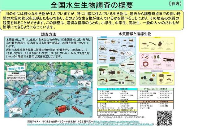 260110 GNPS logo guidelineEN 1 36577