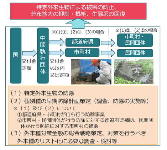 tokuteigairaiseibutuboujo 2026 04 25 142704 802c0