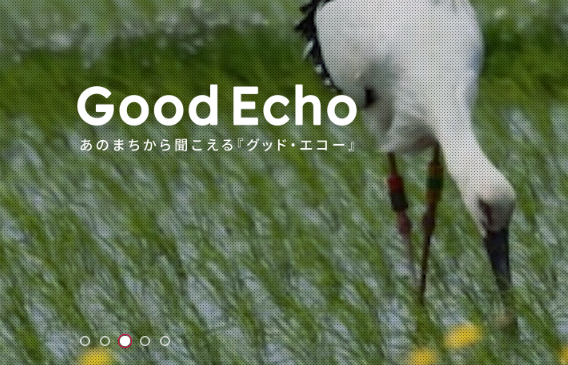 goodecho 2026 07 04 154059 f81f0