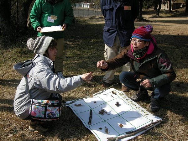 27750501 1971120146439089 6074364060215930807 n