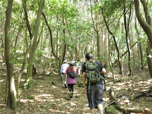 写真眉山登山会