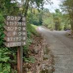 GreenGift地球元気プログラム：大分県日出町プログラム