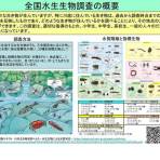  川の生きものを見つけよう！ ～令和８年度全国水生生物調査を実施します～