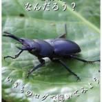 生きものの名前がわからないときは「いきものログ」の『種名調べ支援』!~期間限定 2026年5月1日から10月31日まで~