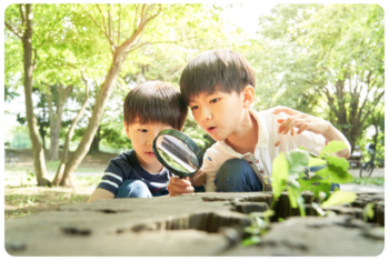 子供たちの環境学習活動【2026年度の募集を受付中です】