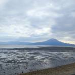 【開催報告】平成29年度ビジターセンター意見交換会